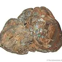 Copper Pseudo. After Azurite - image 3