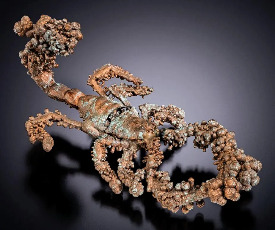 Copper pseudomorph after a scorpion image
