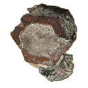 Copper Pseudomorph After Aragonite - image 2