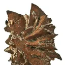 Copper Pseudomorph After Azurite - image 2