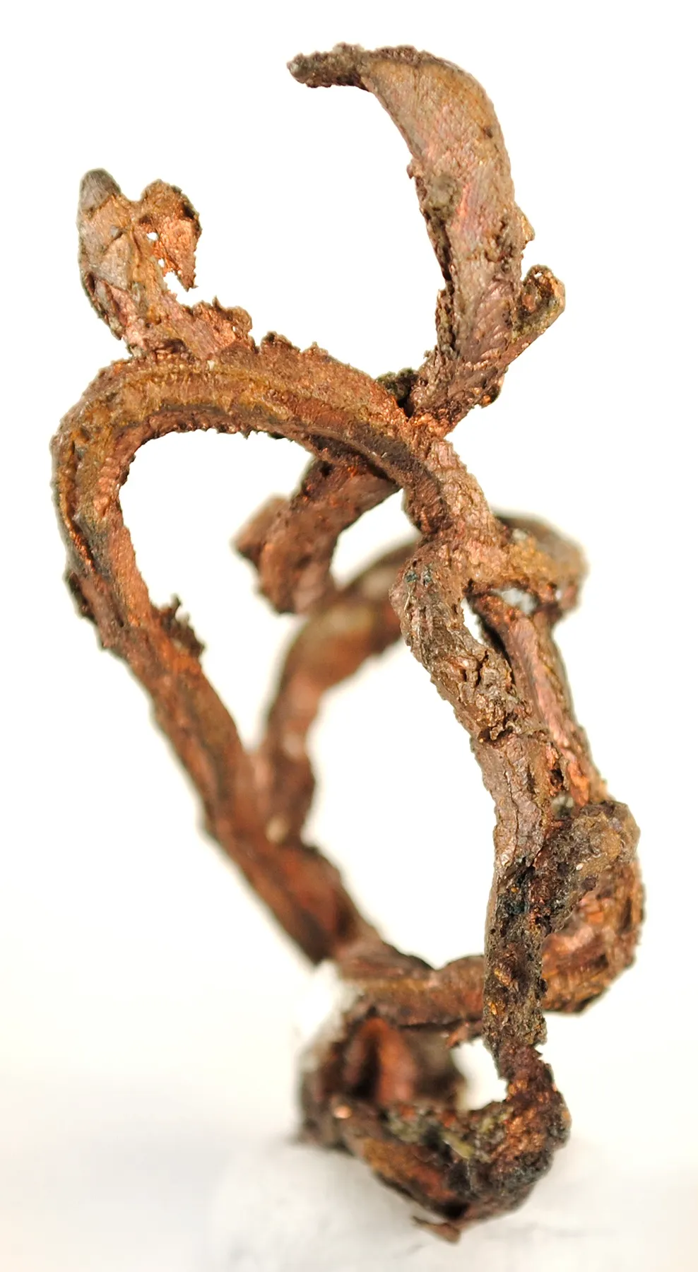 Copper (Rare Habit) - image 4