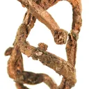 Copper (Rare Habit) - image 3