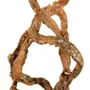 Copper (Rare Habit) - image 1