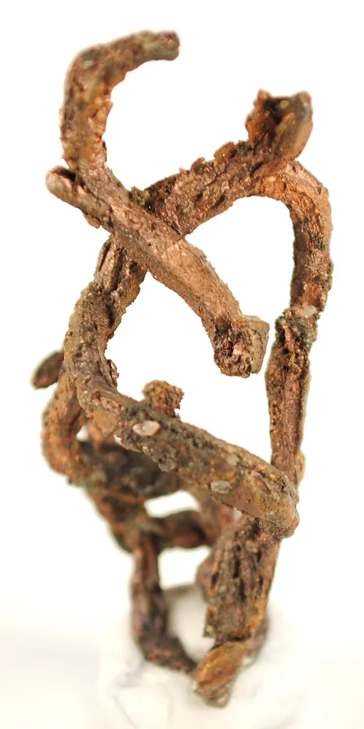 Copper (Rare Habit) - image 2