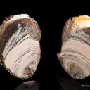 Copper replacing Agate Nodule - image 1