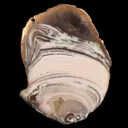 Copper replacing Agate Nodule - image 3