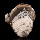 Copper replacing Agate Nodule - image 2