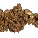 Copper (several generations) - image 9