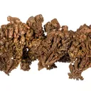 Copper (several generations) - image 8