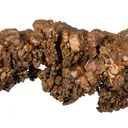 Copper (several generations) - image 7