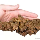 Copper (several generations) - image 3