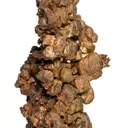 Copper (several generations) - image 4