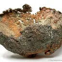 Copper "Skull" - image 2