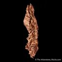 Copper (spinel-twinned) - image 5