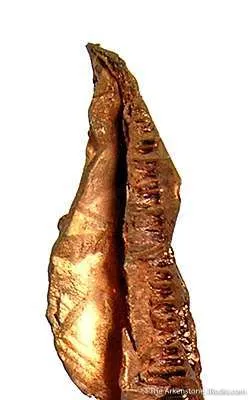 Copper (Spinel-Twinned) - image 3