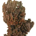 Copper (Spinel-Twinned) - image 2
