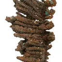 Copper (Spinel-Twinned) - image 3