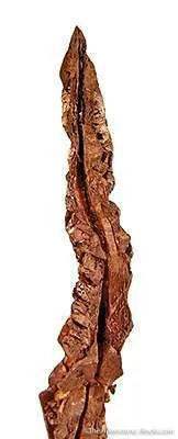 Copper (Spinel-Twinned) - image 2