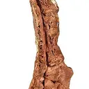 Copper (Spinel-Twinned) - image 1