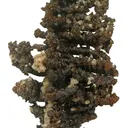Copper (Spinel-Twinned) - image 3