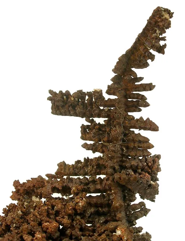 Copper (Spinel-Twinned) - image 4