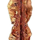 Copper (Spinel-Twinned) - image 1