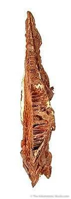 Copper (Spinel-Twinned) - image 2
