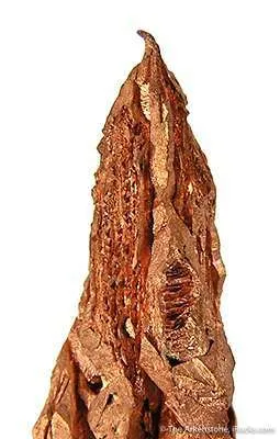 Copper (Spinel-Twinned) - image 3