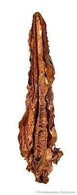 Copper (Spinel-Twinned) - image 3