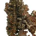 Copper (Spinel-Twinned) - image 3