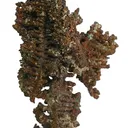 Copper (Spinel-Twinned) - image 2