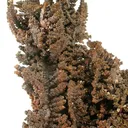 Copper (Spinel-Twinned) - image 4