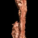 Copper (Spinel-twinned) - image 5