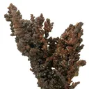 Copper (Spinel-Twinned) - image 1