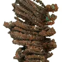 Copper (Spinel-Twinned) - image 2