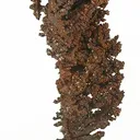 Copper (Spinel-Twinned) - image 1