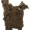 Copper (Spinel-Twinned) - image 1