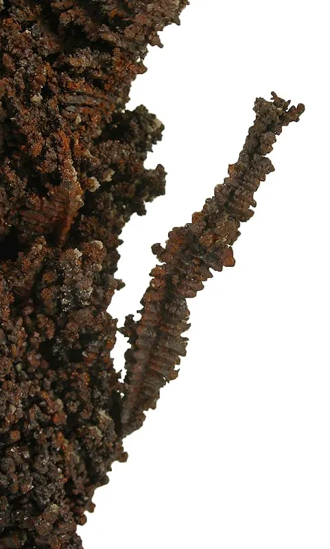 Copper (Spinel-Twinned) - image 4