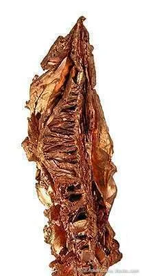 Copper (Spinel-Twinned) - image 2