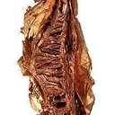 Copper (Spinel-Twinned) - image 2