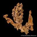 Copper (Spinel twinned) on Copper - image 4