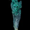 Copper (Spinel twinned) with Malachite - image 5