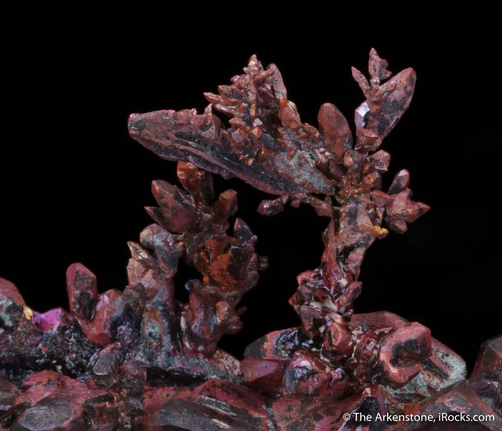 Copper (twin) - image 7