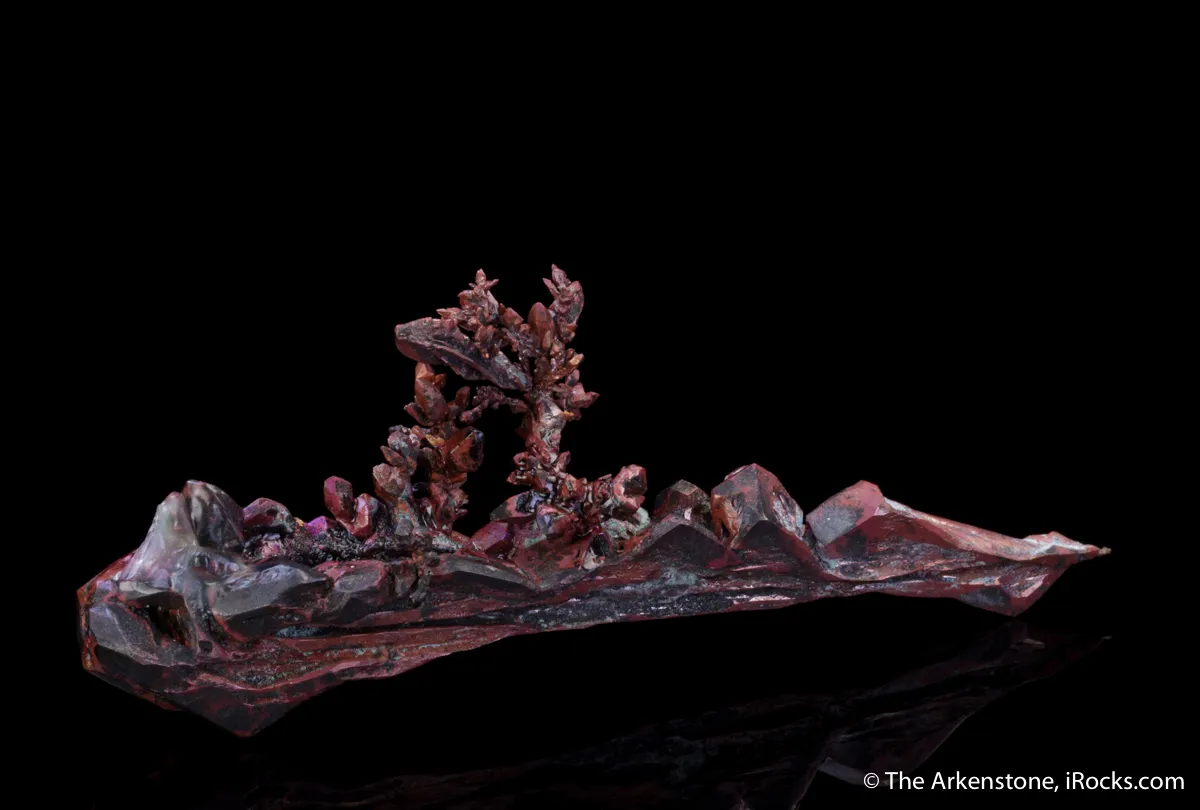 Copper (twin) - image 10