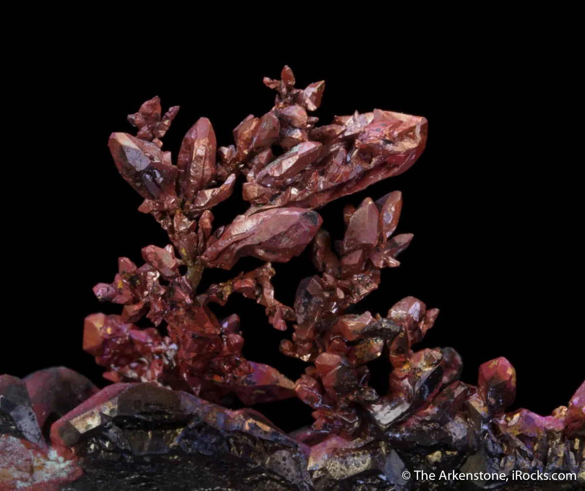 Copper (twin) - image 6