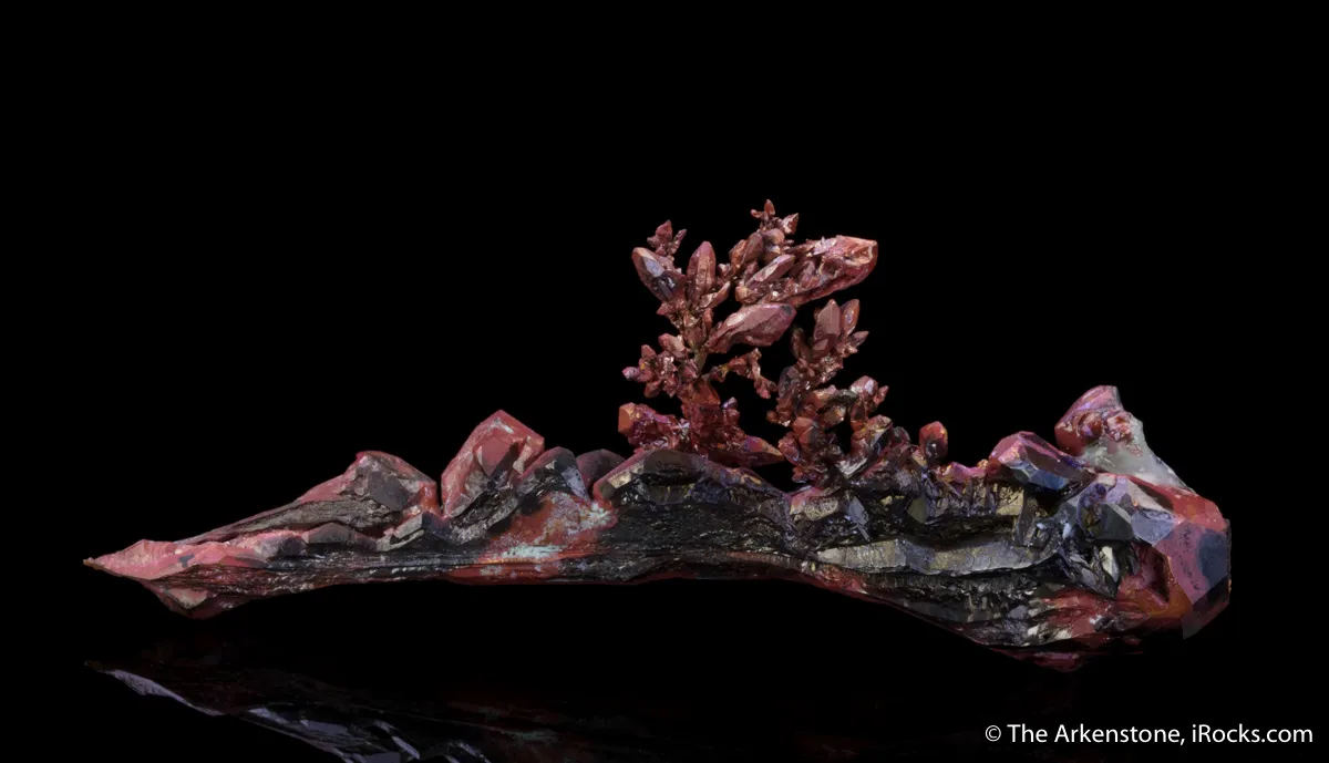 Copper (twin) - image 5