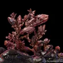 Copper (twin) - image 12