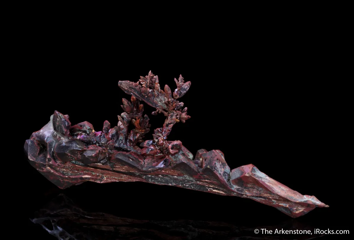 Copper (twin) - image 9