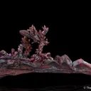 Copper (twin) - image 2