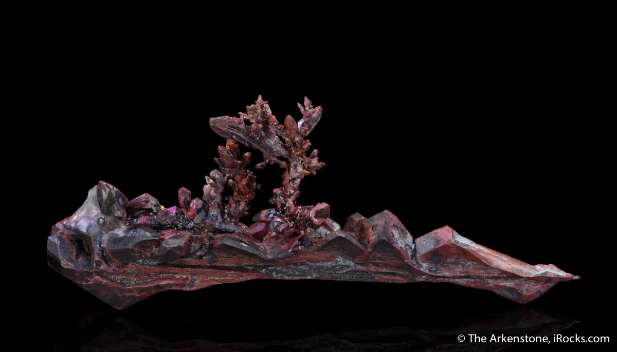 Copper (twin) - image 2